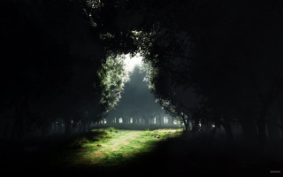 Dark forest path light end - a dark forest free wallpaper