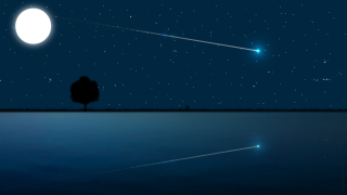 Tree night star moon bright - firefly free wallpaper