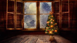 Christmas tree indoor winter snow - a christmas tree free wallpaper