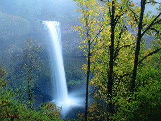 Waterfall forest fog autumn bench - a few yellow leaf free wallpaper