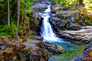 Waterfall forest rocks trees stream 9 - a waterfall in a forest free wallpaper for desktop