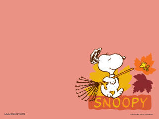 Snoopy cartoon character broom leaf - autumn free wallpaper