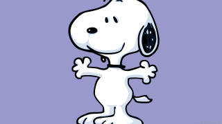 Cartoon dog with collar and 2 - collar free wallpaper