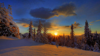 Sunset mountains snow trees dusk - a sunset free wallpaper