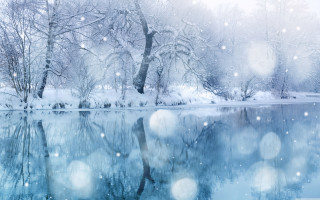 Snowy lake trees snow falling - magical free wallpaper