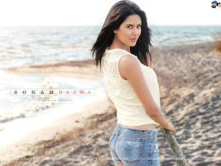 Woman beach surfboard smile camera - free bikini wallpaper for desktop