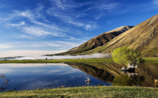 Lake mountains green field tree - a tree in the foreground free wallpaper