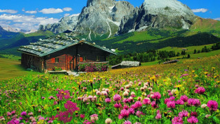 Field flowers house mountains snow - the mountain free wallpaper for desktop