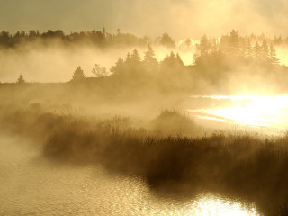 River fog trees sunset distant - fog free wallpaper