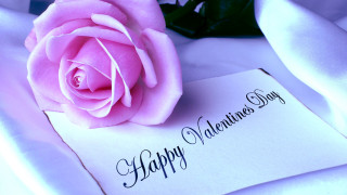 Pink rose white card happy - a happy valentines day free wallpaper