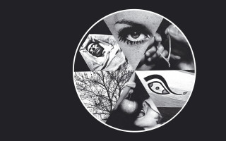 Eye tree bird black white - arthouse free wallpaper