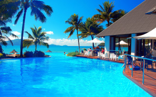 Ocean pool palm trees art - a large swimming pool free wallpaper