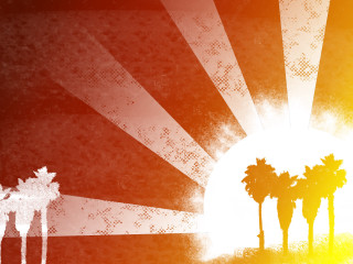 Sun palm trees grungy background - a sunburst free wallpaper