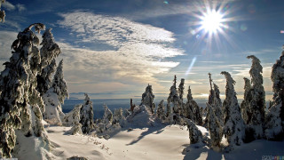 Sunny snowy landscape trees blue 2 - bela čikoš sesija free wallpaper