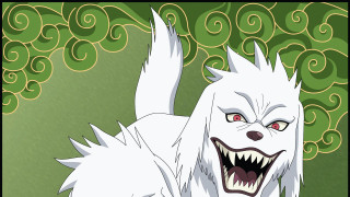 White dog red eyes big - its face and mouth free wallpaper