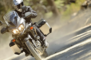 Man motorcycle forest sunny day - dan scott free wallpaper