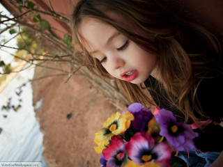 Little girl holding bouquet near - a little girl holding free wallpaper