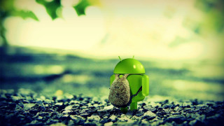 Small green toy brown object - a rocky surface free wallpaper
