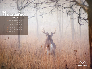 Calendar deer field grass trees - a calendar free wallpaper for desktop