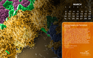 Calendar sprouts colored cover description - a calendar free wallpaper