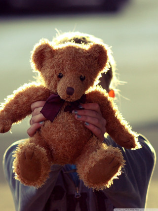 Person holding teddy bear hat - toy free wallpaper for mobile