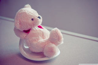 Pink teddy bear white plate - a white plate free wallpaper