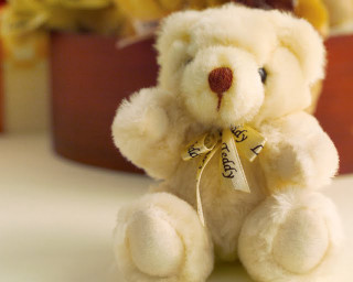 White teddy bear table potted - net art free wallpaper