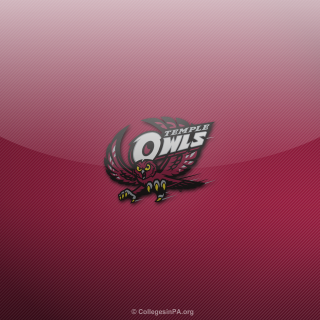 Pink wall logo owl side - the side of it free wallpaper for tablet