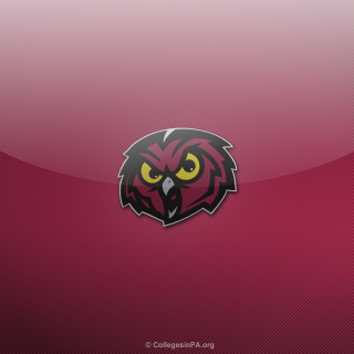 Red black owl yellow eyes - dark background free wallpaper for tablet