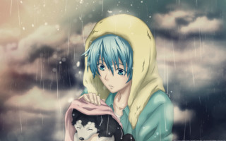 Blue hair holding dog rain - the background and a sky free wallpaper