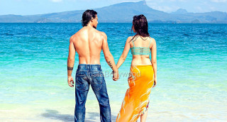 Man woman holding hands beach - a man and a woman holding free wallpaper