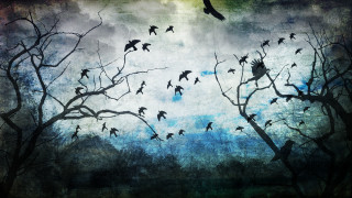 Flock birds flying tree forest - forest free wallpaper