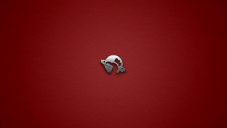 Red background white black cat - back side free wallpaper