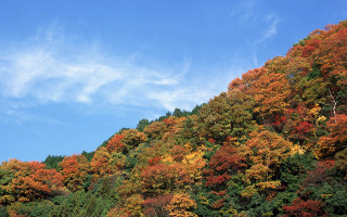 Hillside trees blue sky clouds - murata range free wallpaper