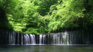 Waterfall forest river trees lush - a waterfall in a forest free wallpaper