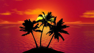 Sunset palm trees island ocean - two palm tree free wallpaper