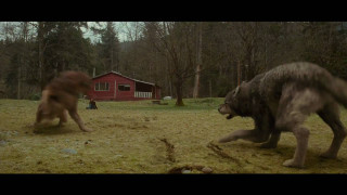 Dogs playing field red house - two dog free wallpaper