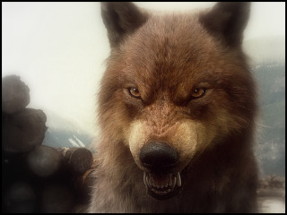 Wolf grin mountain snow background - a big grin free wallpaper