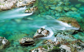 River flowing lush forest rocks 2 - rock and water free wallpaper for desktop