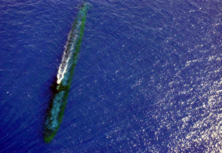 Green boat ocean green line - aerial view free wallpaper