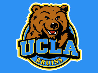 Bear head ucla u c - the middle of the image free wallpaper for desktop