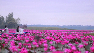 Boat flowers house people field - phuoc quan free wallpaper