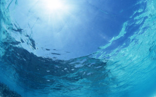 Underwater view of water surface - underwater free wallpaper for desktop