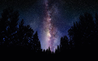 Night sky stars trees foreground 2 - a bright light in the middle free wallpaper