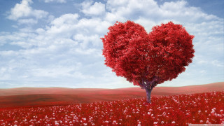 Heart shaped tree field flowers 5 - didier mouron free wallpaper
