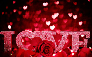 Red rose glitter love sign 4 - a red rose free wallpaper