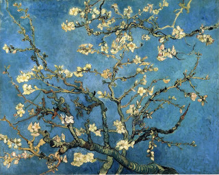 Tree white flowers blue background 3 - blanche hoschedé monet free wallpaper