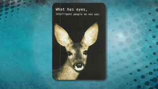 Deer what has eyes image - a caption free wallpaper for desktop