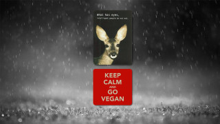 Deer keep calm go vegan - calm free wallpaper for desktop