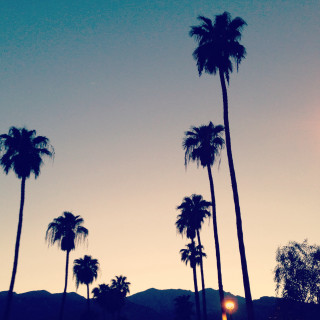 Palm trees mountain sunset bright - free vintage wallpaper for tablet